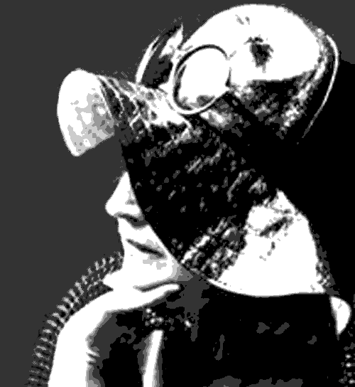 POSITIONS WITH WHITE ROSES Last Bender